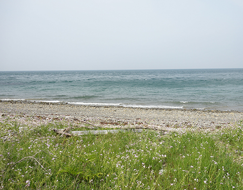 383l06.jpg