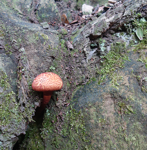 393F08.jpg